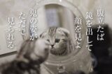 腹立たば鏡を出して顔を見よ 鬼の姿がただで見られる