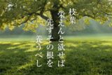 枝葉栄えんと欲せば 先ずその根を養うべし
